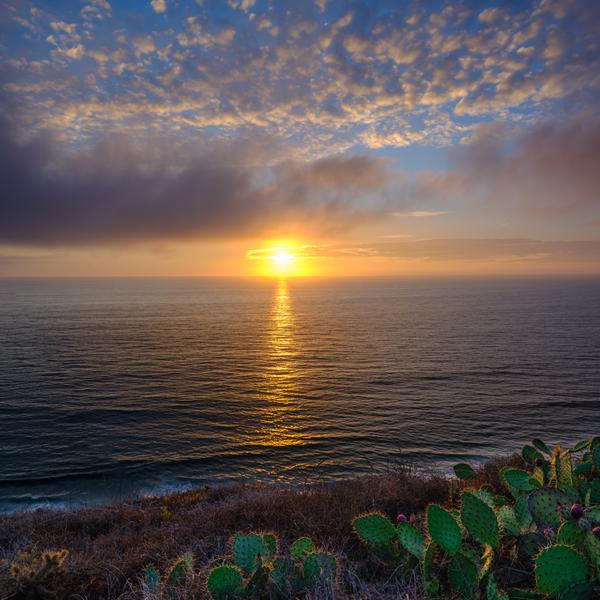 Sunset at Guy Fleming Trail in Torrey Pines Reserve